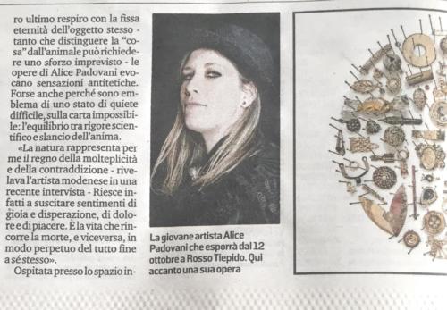 Gazzetta di Modena 15/10/2019